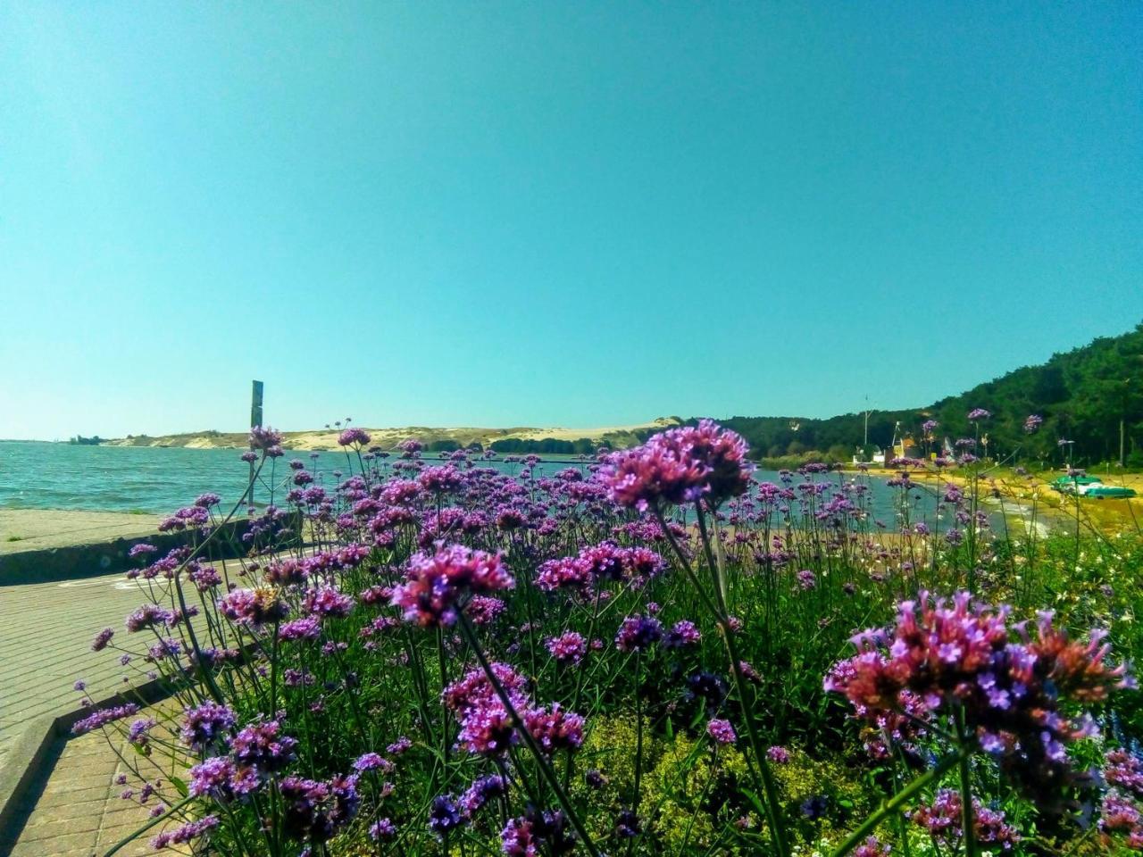 Apartamentai Emilija Nida Bagian luar foto